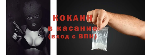 шишки Карталы