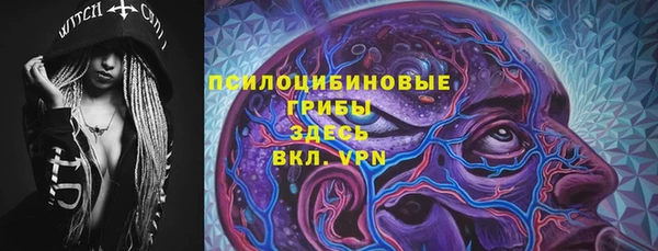 шишки Карталы