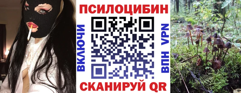 Псилоцибиновые грибы прущие грибы Кузнецк